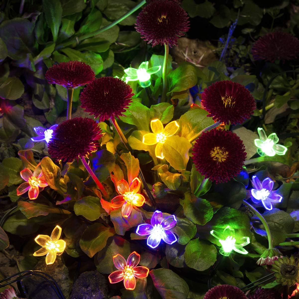 silicone flower 14 led fairy string lights 🌸✨ | 5.6 meter multicolor decorative led lights for indoor & outdoor festivals, weddings, parties & home décor | corded electric silicone flower 14 led fairy string lights 🌸✨ | 5.6 meter multicolor decorative led lights for indoor & outdoor festivals, weddings, parties & home décor | corded electric